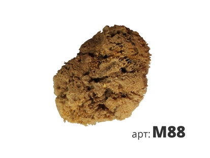 STMDECOR натуральная губка морская МАЛАЯ M88